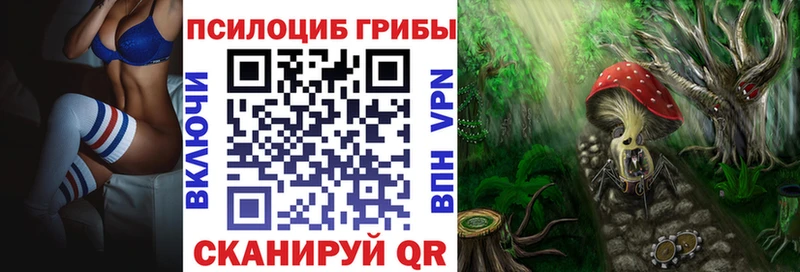 Купить где  Камбарка  Галлюциногенные грибы мицелий 